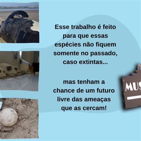 Quem Vive De Passado Museu Ceclimar