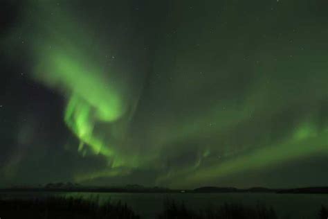 Iceland: Northern Lights Bus Tour from Reykjavik | GetYourGuide