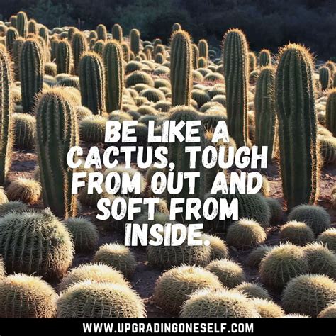 Top 17 Best Quotes About Cactus That Will Blow Your Mind