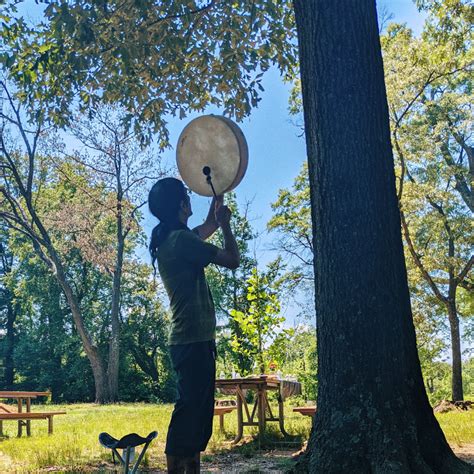 Forest Bathing Friends Of Kenilworth Aquatic Gardens