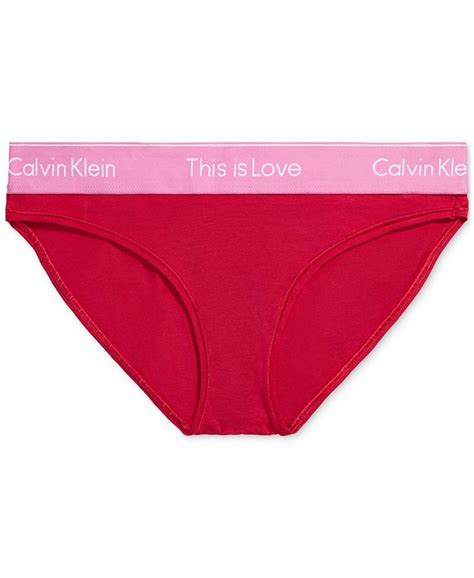 Calvin Klein Women S Pride This Is Love Tonal Bikini Underwear Qf7284 Macy S