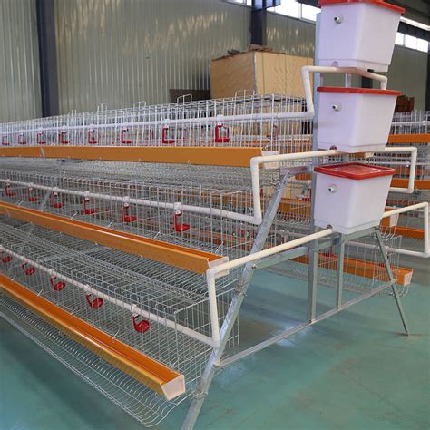 Design Poultry Automatic A Type Layer Chicken Egg Laying Cage Wire Mesh