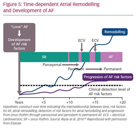 Time Dependent Atrial Remodelling Radcliffe Cardiology