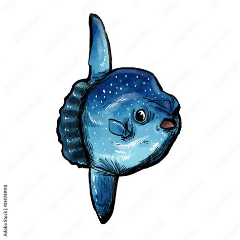 blue fish cartoon Stock Illustration | Adobe Stock