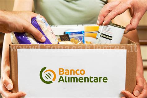 POZZUOLI Pacchi Alimentari E Materiale Elettorale Due Denunce A