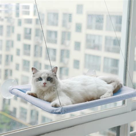 Mejores hamacas de ventana para gatos Cuál elegir Smylepets