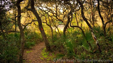 Campsites - Thru-Hike The Florida Trail