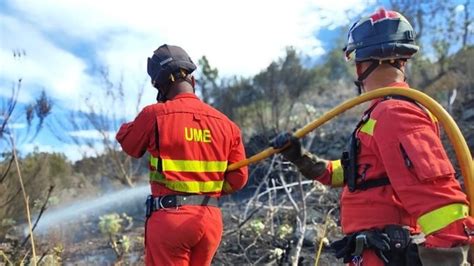 El Incendio En Los Montes De Tenerife Sigue Activo Casi Dos Meses Después De Su Inicio