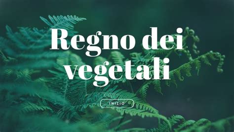 Regno Vegetale