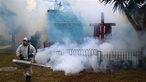 Dengue en Perú Minsa lanza alerta epidemiológica ante 75 muertes y 58