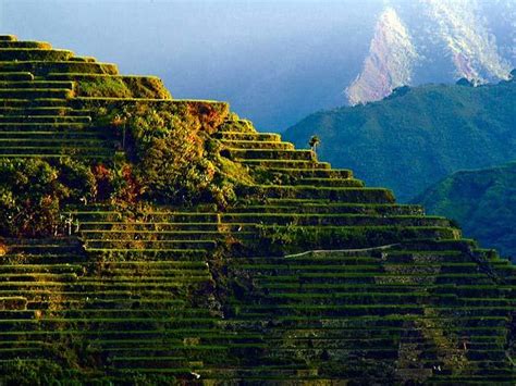 Rice Terraces of the Philippine Cordilleras | World Monuments Fund