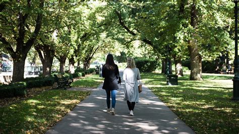 Parks & Gardens - Explore Bendigo