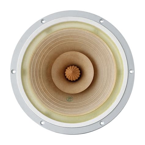 Destocking Previous Flagship One Pair 10 Inch HIFI Speaker Driver