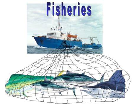 Ppt Fisheries Powerpoint Presentation Free Download Id3029136