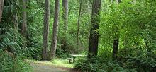 Fort Townsend State Park - Campsite Photos and Camping Information