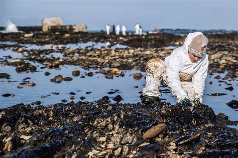 Fighting oil pollution on Sakhalin - Russia Beyond