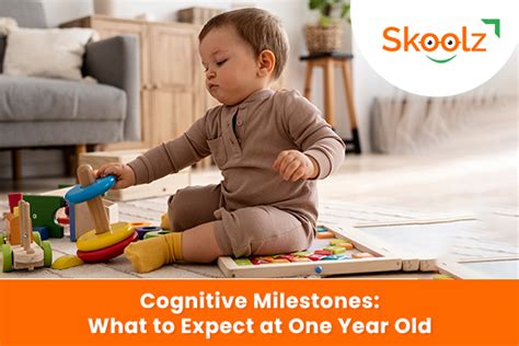 Cognitive Milestones: What to Expect at One Year Old