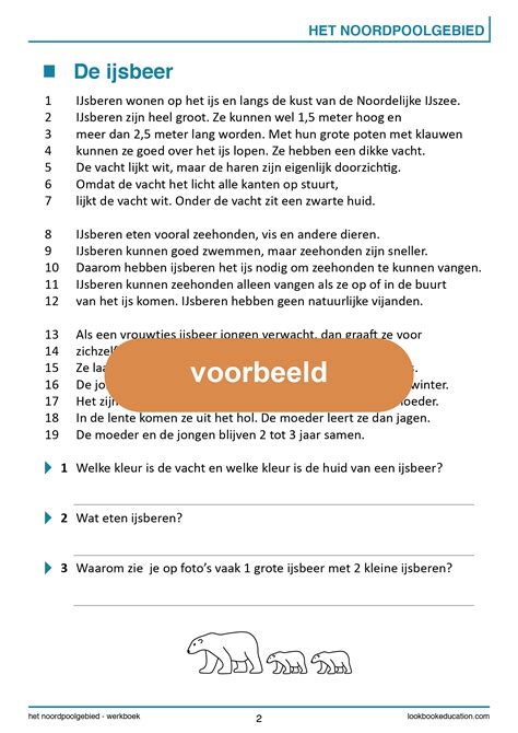 Werkblad Begrijpend Lezen Ijsbeer Lookbook Education Basisschool