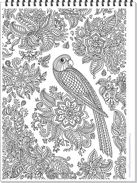 Papagei Mandala Ausmalbilder Zum Ausdrucken Parrot Mandala Coloring