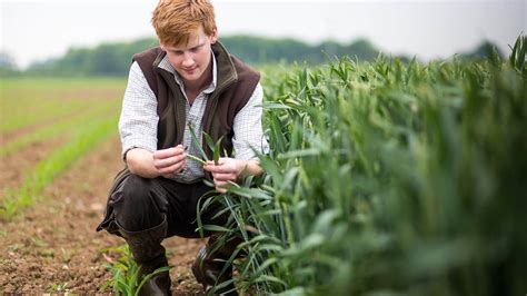 Bsc Hons Bsc Agriculture With Crop Management Top Up Degree