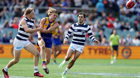 Geelong Cats Vs West Coast Eagles Tips Preview Cats To Dominate The