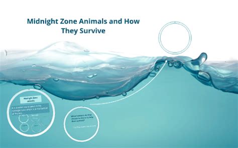 Midnight Zone animals by Mia Payan on Prezi