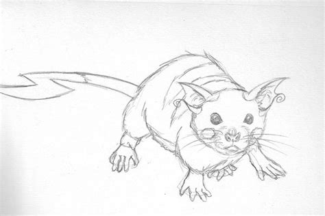 Semi-Realistic Raichu Doodle by K-Paro on DeviantArt