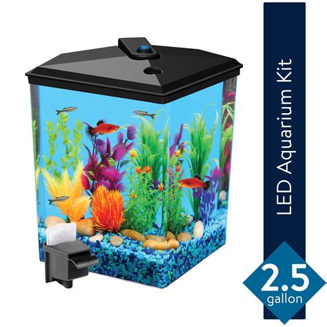 Aqua Culture 1 Gallon Aquarium Kit With Led Lighting Power Filter And 5 Volt Adapter Atelier