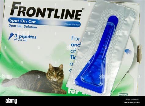 Frontline Spot On flea treatment for cats Stock Photo - Alamy