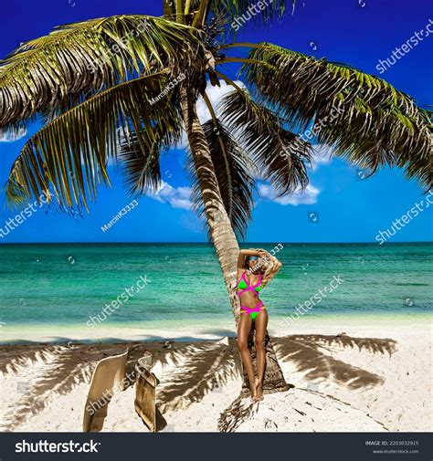 Beautiful Sexy Tanned Woman Elegant Bikini Stock Photo Shutterstock