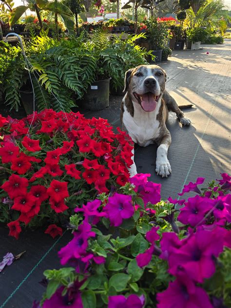 Legacy Architectural... - Legacy Architectural Salvage