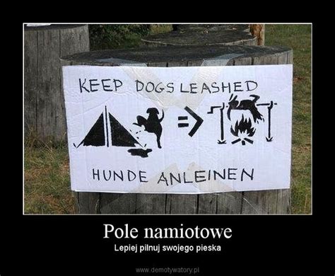 Pole Namiotowe Demotywatory Pl