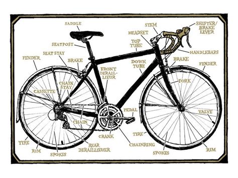 Bmx Bicycle Parts Diagram