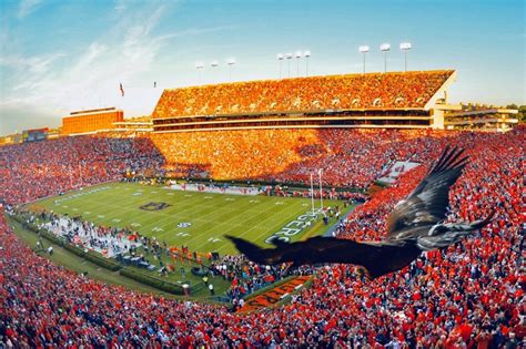 AU Traditions: Pre-Game Eagle Flight – On The Lawn