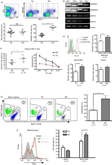 Cd4 Nkg2d T Cells Induce Nkg2d Down‐regulation In Natural Killer