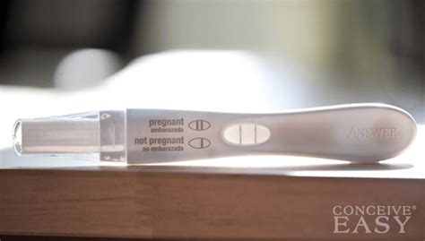Chances Of Getting Pregnant When You Have Sex On An Ovulation Day ConceiveEasy