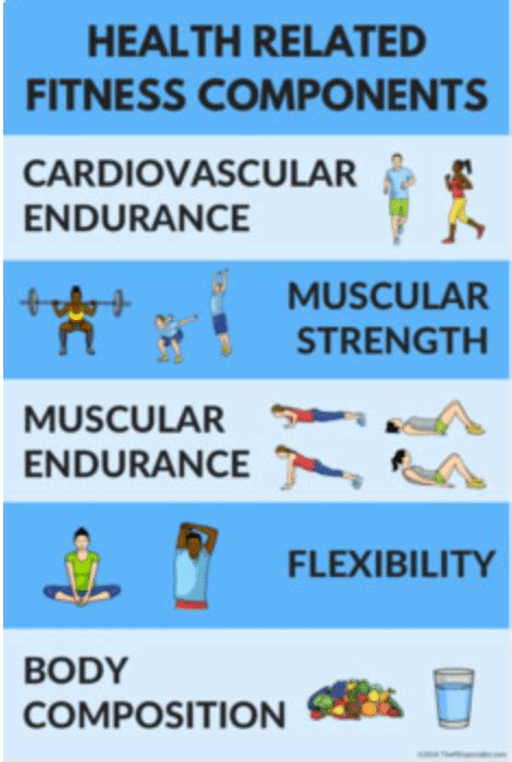 Components Of Fitness Gymnastics Catherina Vines