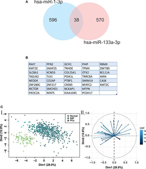 Frontiers Hsa Mir 133a 3p Mir 1 3p Golph3 And Jup Combination