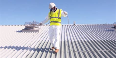 How To Paint A Metal Roof: A Complete Guide | DKG Roofing