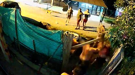 Video Batalla Campal Entre Vecinos De Campana Por El Ataque Mortal De Un Perro Al Pollito De