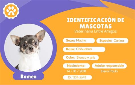 Explor Plantilla De Mascotas Personalizables Gratis Canva