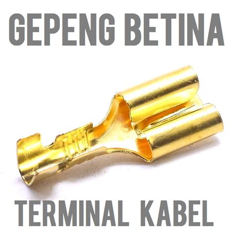 Jual SKUN TERMINAL Bulat Gepeng Jantan Betina Male Female Cowok Cewek