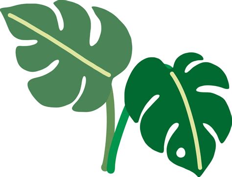 Boho Monstera Leaf Freehand Drawing Flat Design Png