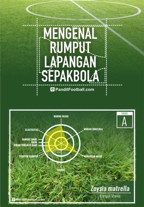 3 JENIS RUMPUT UNTUK LAPANGAN BOLA OKTOBER TAHUN 2023 ~ JUAL RUMPUT TAMAN DAN BIBIT RUMPUT TERNAK