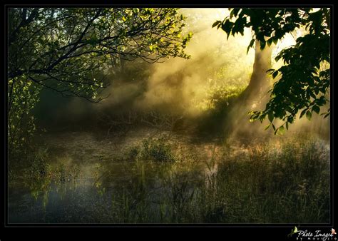 Hintergrundbilder Sonnenlicht Landschaft Wald Photoshop See