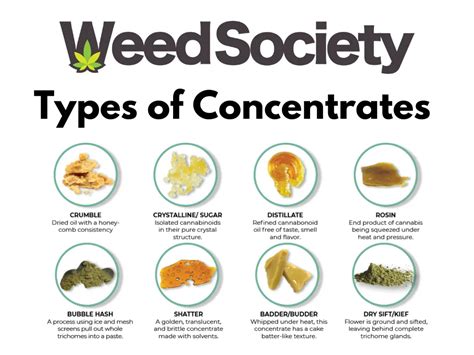 Cannabis Concentrates A Comprehensive Guide