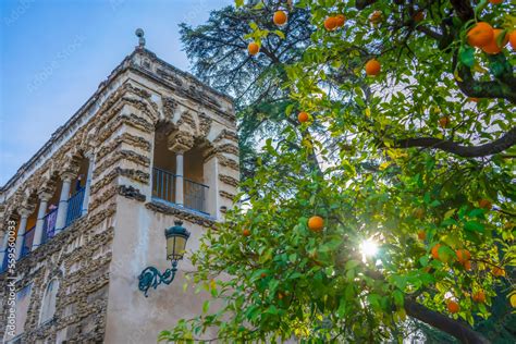 Gardens of the Real Alcazar in Sevilla, Spain on December 31, 2022 ...