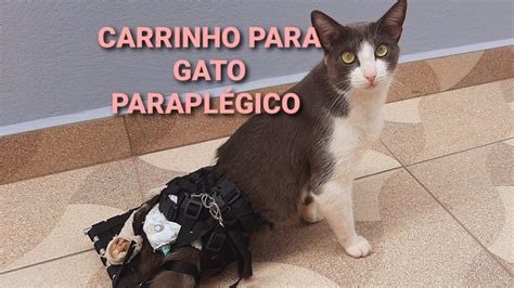 CARRINHO SUPER PRÁTICO PARA GATO PARAPLÉGICO Cuidados gatos