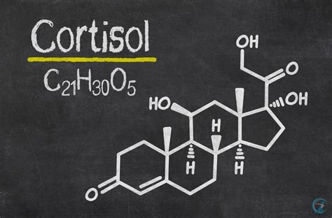 High Cortisol Levels: Symptoms, Causes & Treatment