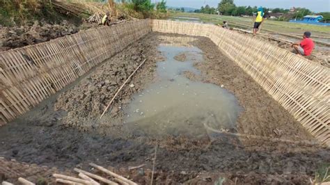 Proses Pembuatan Kolam Ikan Tanah Dengan Dinding Bambu Sasak